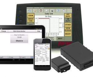 ELD-mandate