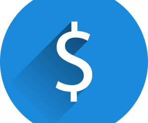 money dollar sign