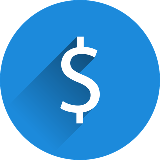 money dollar sign