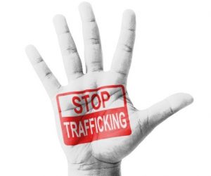 stop trafficking